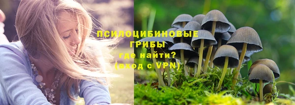 прущие крисы Аркадак