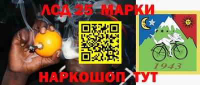 шишки Апшеронск