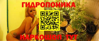 шишки Апшеронск