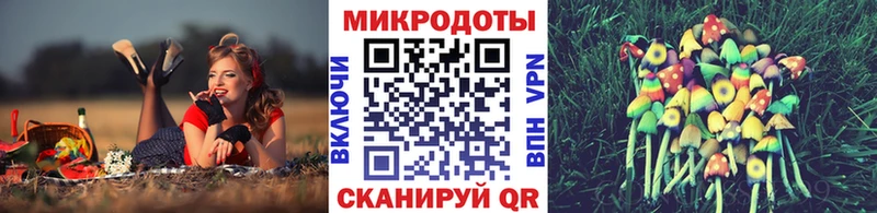 цена OMG сайт Галлюциногенные грибы GOLDEN TEACHER Вязники