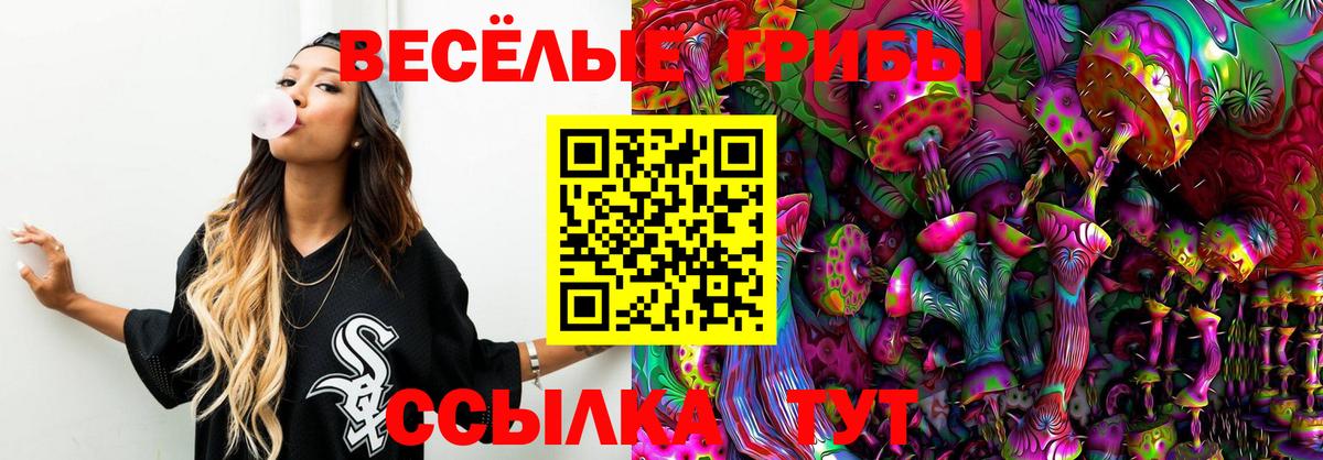 Галлюциногенные грибы GOLDEN TEACHER  Галлюциногенные грибы мицелий  Вязники  Вход с VPN 