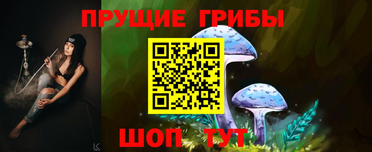 Галлюциногенные грибы прущие грибы Вязники