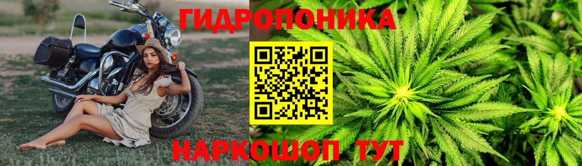 Канабис планчик  Вязники  Каннабис Ganja  Шишки марихуана тримм  Бошки Шишки LSD WEED 